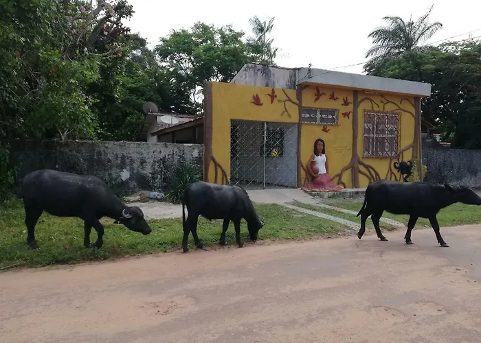 Habitat Marajó Hostel