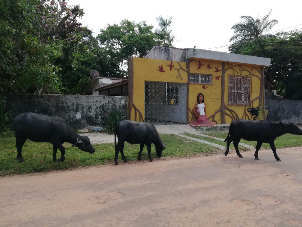 Hostal Habitat Marajó